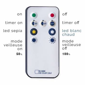 Ghirlanda Jasmin Ghirlanda con telecomando LCDCP